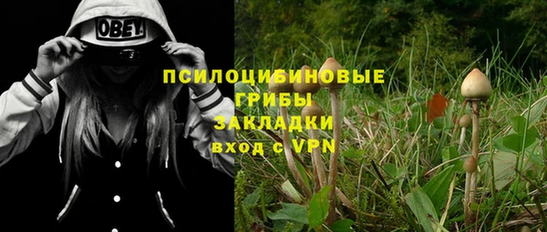 таблы Покровск