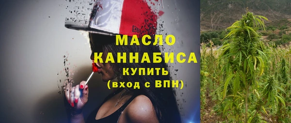 молекула духа Покров
