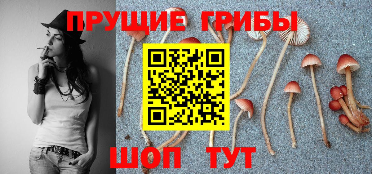 Россошь  Псилоцибиновые грибы Psilocybine cubensis  Вход с VPN 