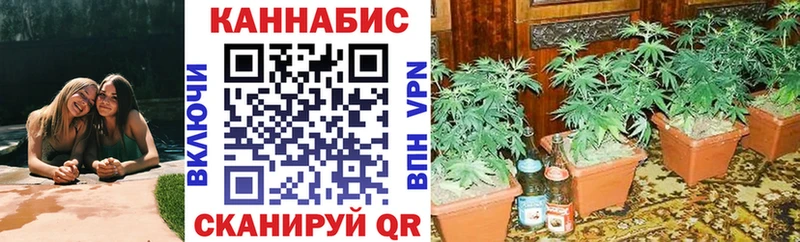 Шишки марихуана сатива Россошь
